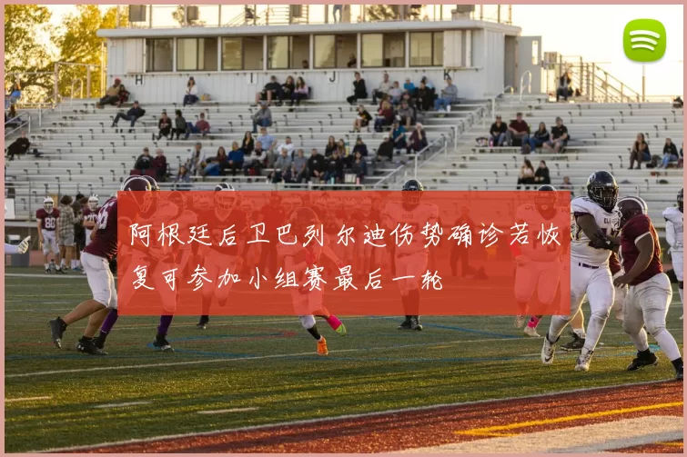 阿根廷后卫巴列尔迪伤势确诊若恢复可参加小组赛最后一轮